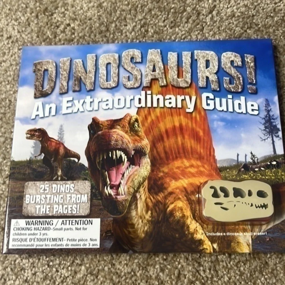 Set of 4 Dinosaur books